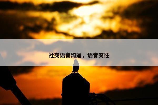 社交语音沟通，语音交往