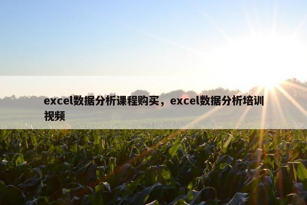 excel数据分析课程购买，excel数据分析培训视频