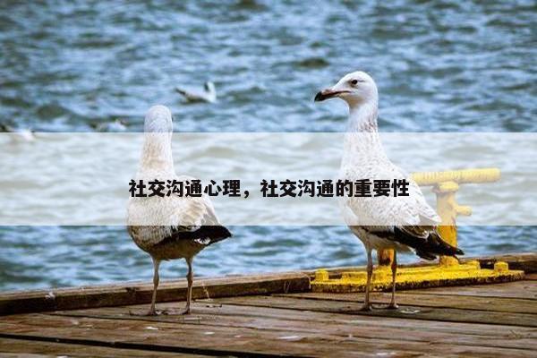 社交沟通心理，社交沟通的重要性