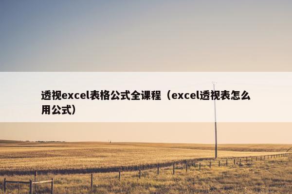 透视excel表格公式全课程（excel透视表怎么用公式）