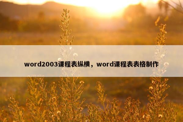 word2003课程表纵横，word课程表表格制作