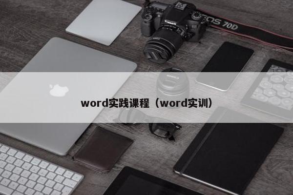 word实践课程（word实训）