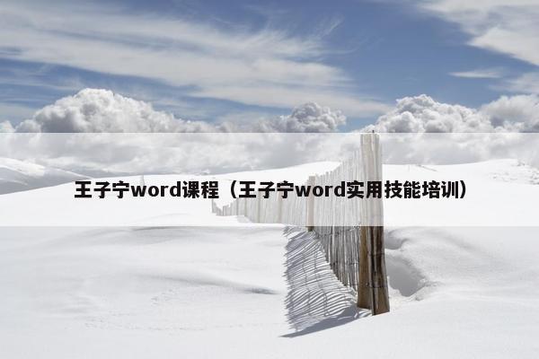 王子宁word课程（王子宁word实用技能培训）