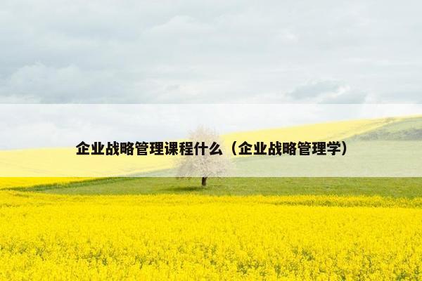 企业战略管理课程什么（企业战略管理学）