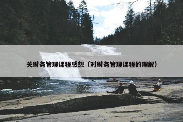 关财务管理课程感想（对财务管理课程的理解）