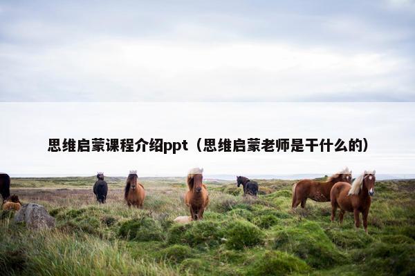 思维启蒙课程介绍ppt（思维启蒙老师是干什么的）