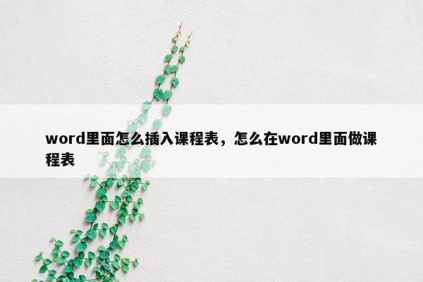 word里面怎么插入课程表，怎么在word里面做课程表