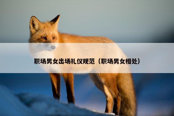职场男女出场礼仪规范（职场男女相处）