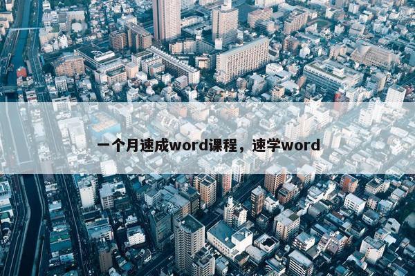 一个月速成word课程，速学word