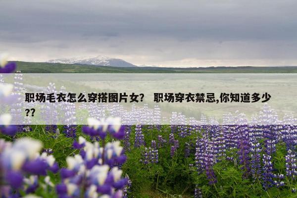 职场毛衣怎么穿搭图片女？ 职场穿衣禁忌,你知道多少?？