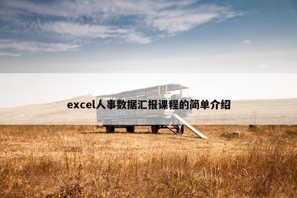 excel人事数据汇报课程的简单介绍