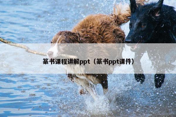 篆书课程讲解ppt（篆书ppt课件）