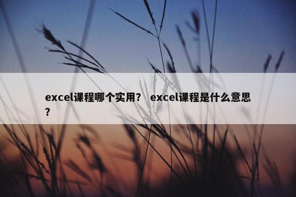 excel课程哪个实用？ excel课程是什么意思？