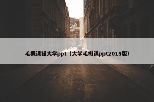 毛概课程大学ppt（大学毛概课ppt2018版）