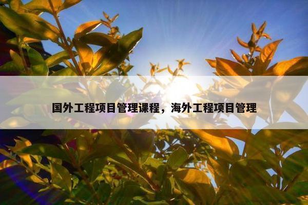国外工程项目管理课程，海外工程项目管理