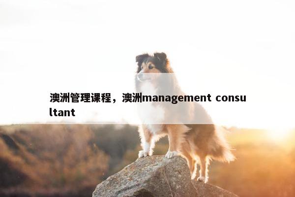 澳洲管理课程，澳洲management consultant