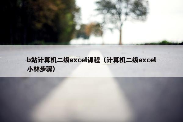 b站计算机二级excel课程（计算机二级excel小林步骤）