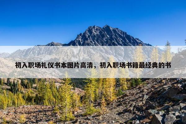 初入职场礼仪书本图片高清，初入职场书籍最经典的书