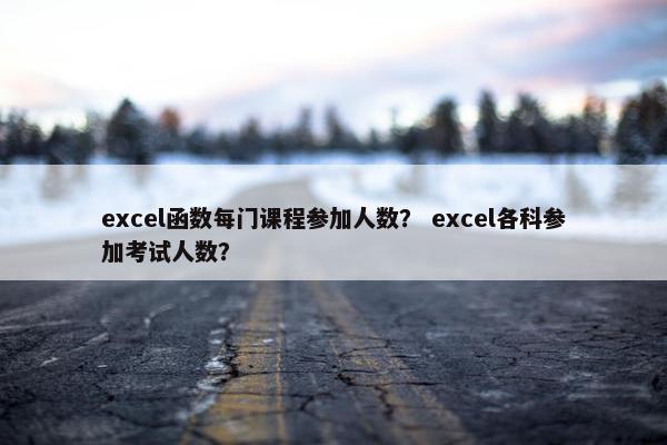 excel函数每门课程参加人数？ excel各科参加考试人数？