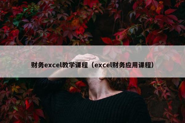 财务excel教学课程（excel财务应用课程）