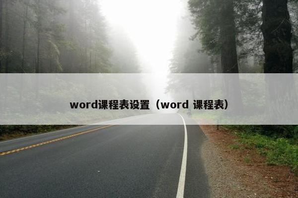 word课程表设置（word 课程表）