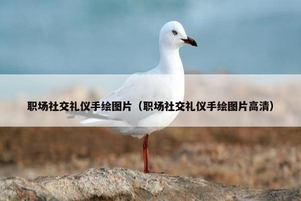 职场社交礼仪手绘图片（职场社交礼仪手绘图片高清）