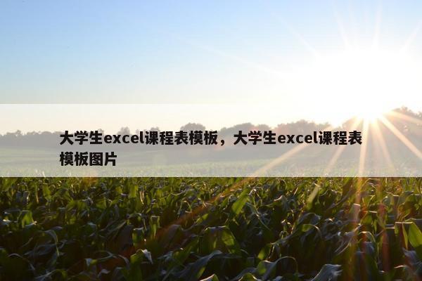 大学生excel课程表模板，大学生excel课程表模板图片