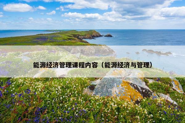 能源经济管理课程内容（能源经济与管理）
