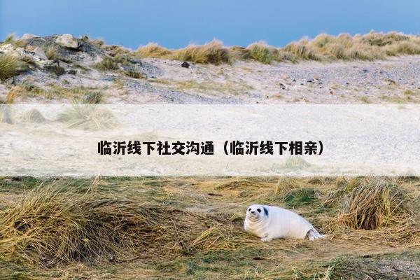 临沂线下社交沟通（临沂线下相亲）