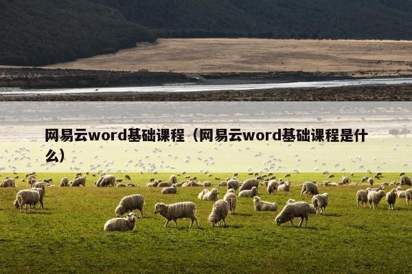 网易云word基础课程（网易云word基础课程是什么）