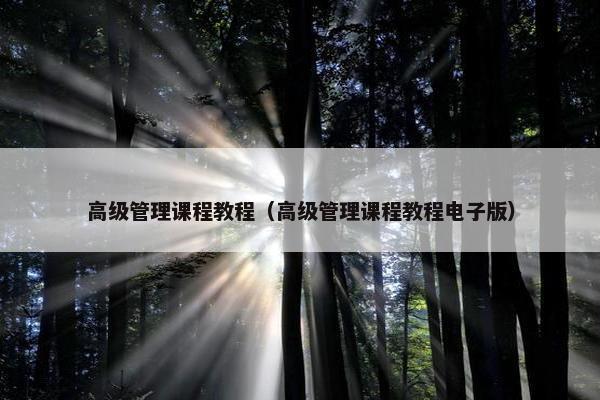 高级管理课程教程（高级管理课程教程电子版）