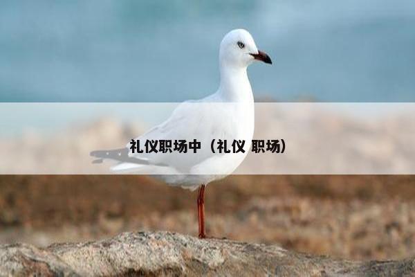 礼仪职场中（礼仪 职场）