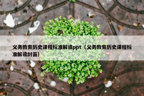 义务教育历史课程标准解读ppt（义务教育历史课程标准解读封面）