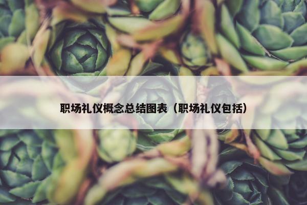 职场礼仪概念总结图表（职场礼仪包括）