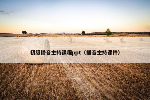 初级播音主持课程ppt（播音主持课件）