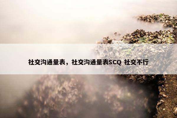 社交沟通量表，社交沟通量表SCQ 社交不行