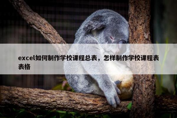 excel如何制作学校课程总表，怎样制作学校课程表表格