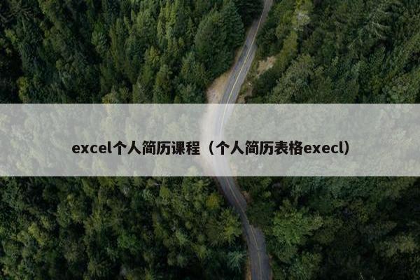 excel个人简历课程（个人简历表格execl）