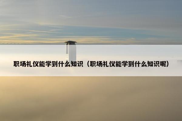 职场礼仪能学到什么知识（职场礼仪能学到什么知识呢）