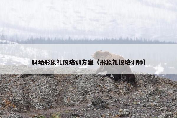 职场形象礼仪培训方案（形象礼仪培训师）