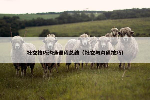 社交技巧沟通课程总结（社交与沟通技巧）