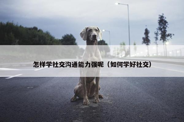 怎样学社交沟通能力强呢（如何学好社交）