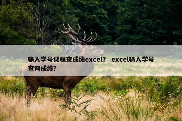 输入学号课程查成绩excel？ excel输入学号查询成绩？