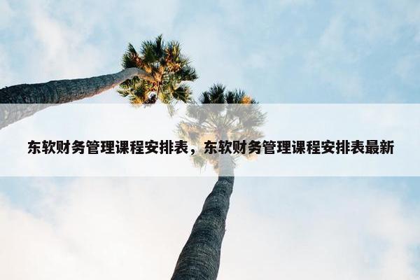 东软财务管理课程安排表，东软财务管理课程安排表最新