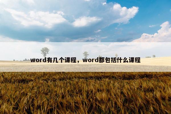 word有几个课程，word都包括什么课程
