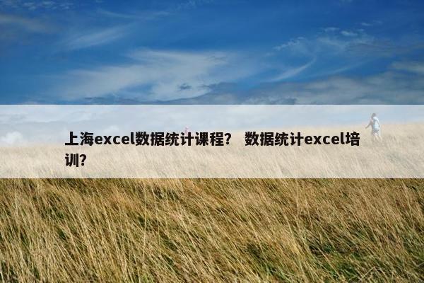 上海excel数据统计课程？ 数据统计excel培训？