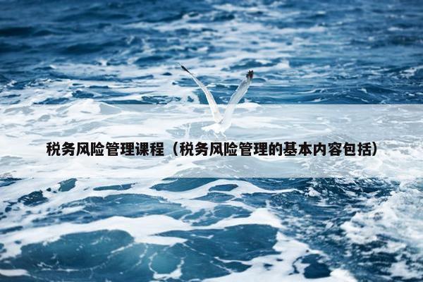 税务风险管理课程（税务风险管理的基本内容包括）
