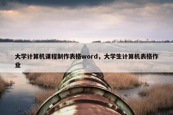 大学计算机课程制作表格word，大学生计算机表格作业