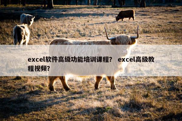 excel软件高级功能培训课程？ excel高级教程视频？