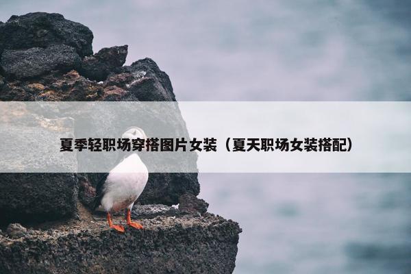 夏季轻职场穿搭图片女装（夏天职场女装搭配）